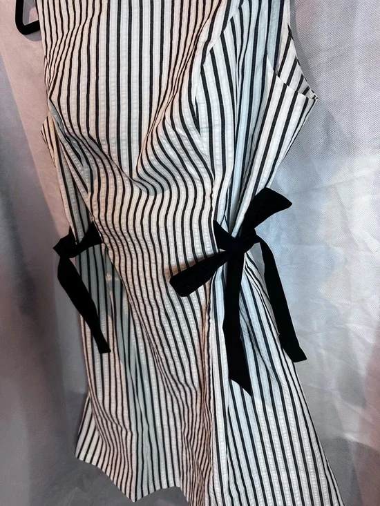 wild fable Black and White Vertical Stripe Mini Dress with Side Ties - Picture 2 of 6